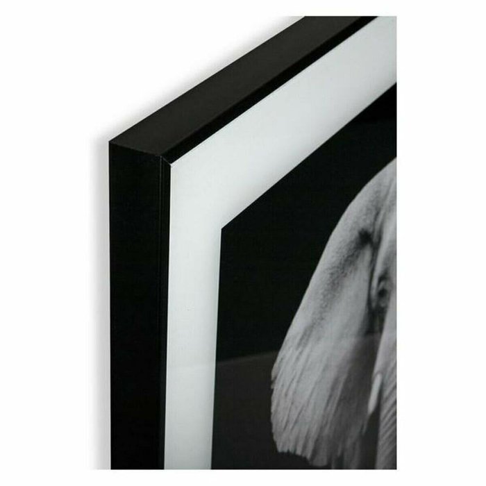 Картина (2 x 50 x 50 cm) - лучшие Картины в INMYROOM
