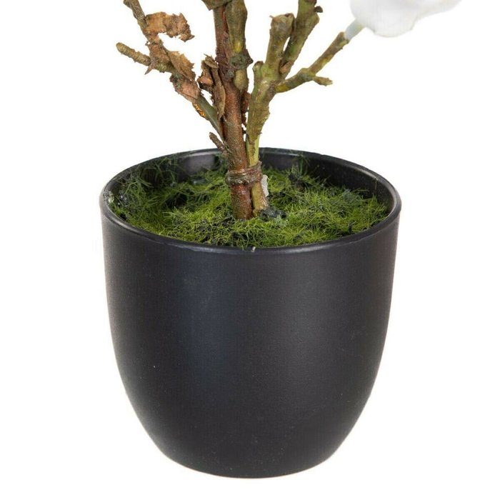 Декоративное растение полиэстер полиэтилен Железо 22 x 22 x 38 cm Magnolia - купить Декоративные цветы по цене 2779.0