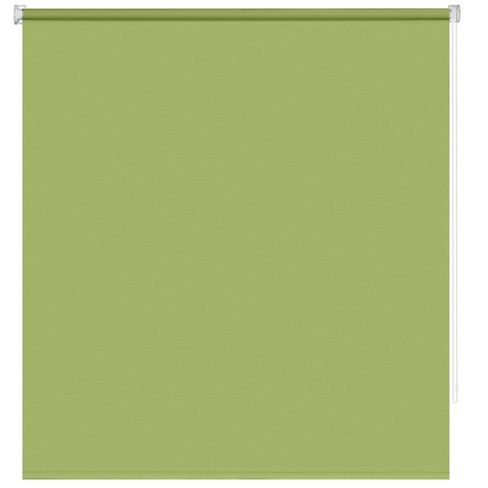 Рулонная штора Миниролл Плайн зеленого цвета 100x160 - купить Шторы по цене 1283.0