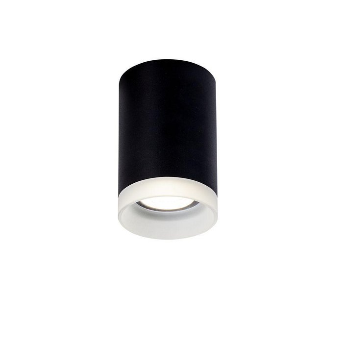 Потолочный светильник Pauline черного цвета  - купить Потолочные светильники по цене 1050.0