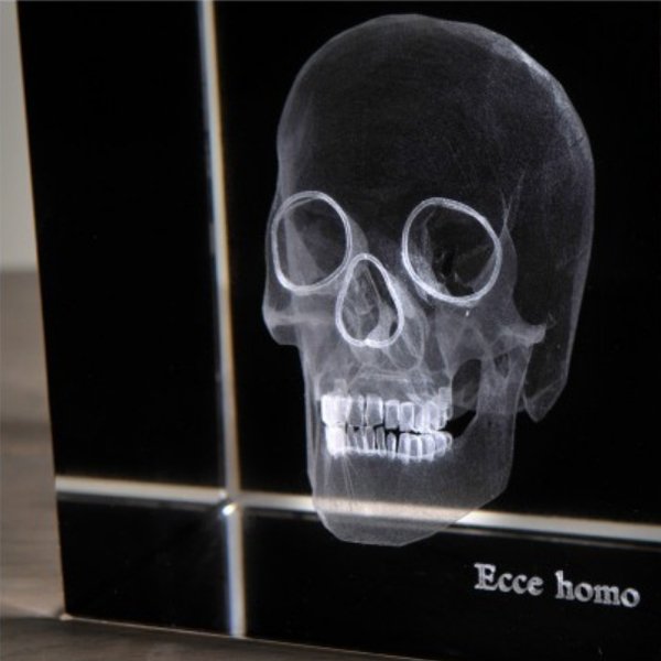 Аксессуар Skull 3D Large - лучшие Декоративные предметы в INMYROOM