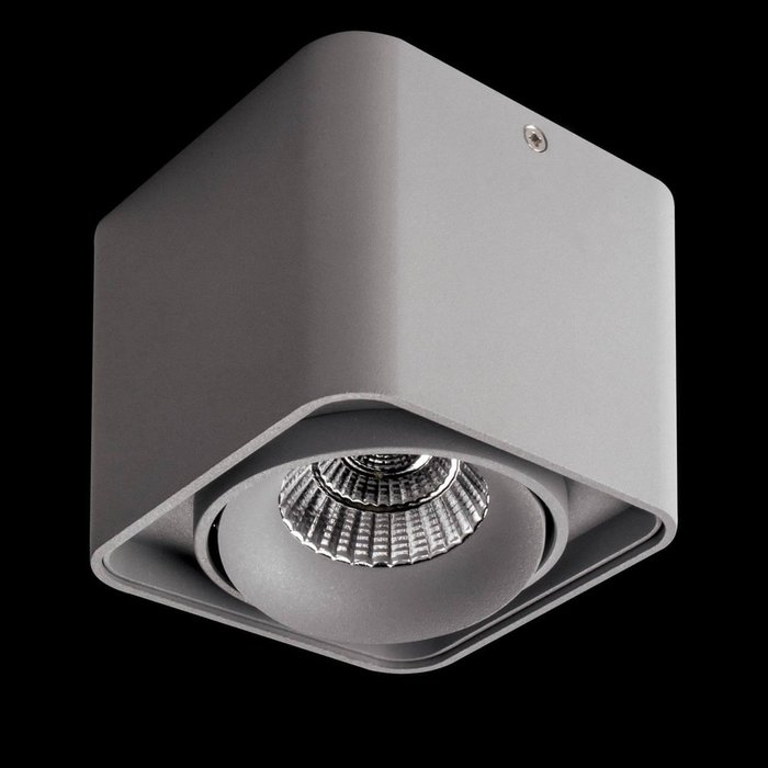 Потолочный светодиодный светильник Monocco серого цвета - лучшие Потолочные светильники в INMYROOM