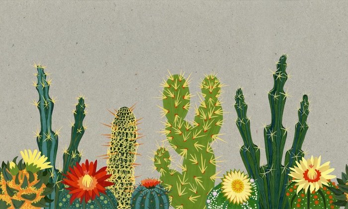Дизайнерские обои Cactus Family