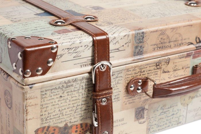Кейс для хранения Darwin Grande  - купить Декоративные коробки по цене 10000.0