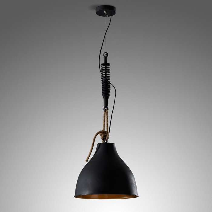 Подвесной светильник Eidas Black черного цвета - лучшие Подвесные светильники в INMYROOM