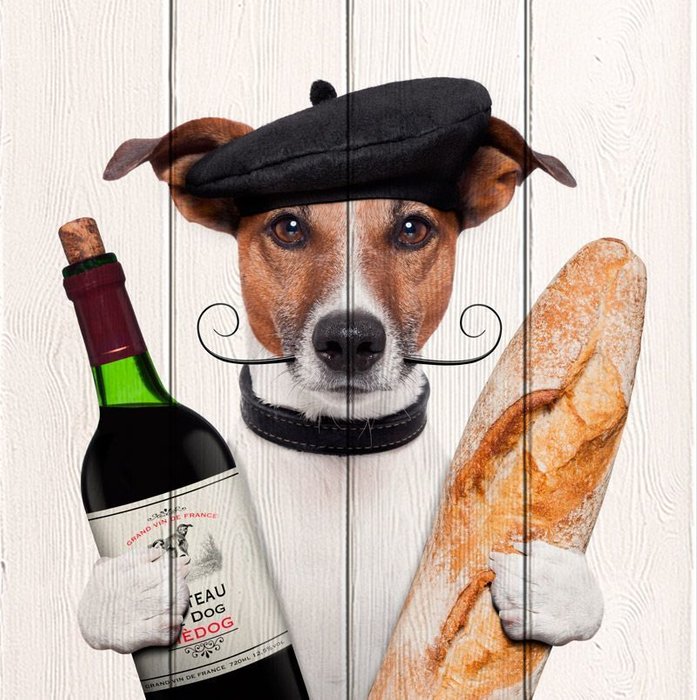 Картина Собака с вином из массива сосны 60х60