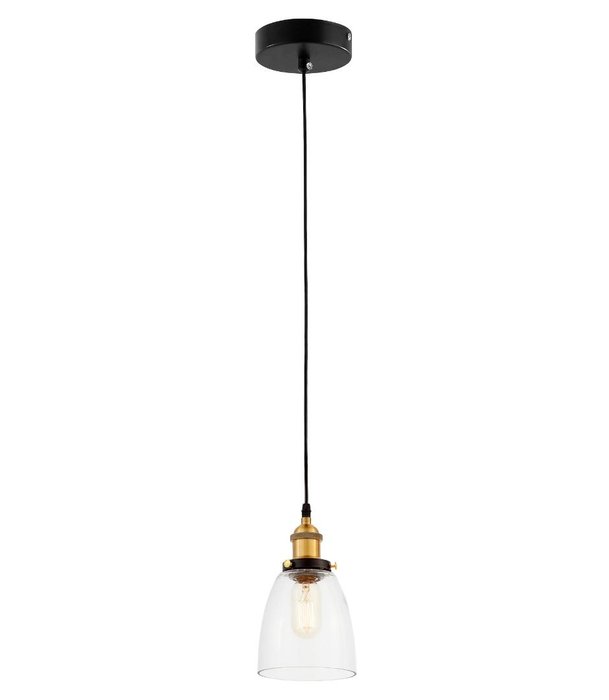 Подвесной светильник Fabi с прозрачным плафоном - лучшие Подвесные светильники в INMYROOM