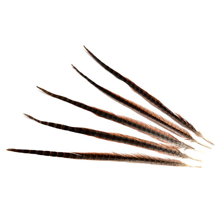 Перья Feather коричневого цвета 