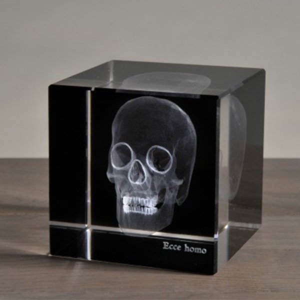 Аксессуар Skull 3D Large - купить Декоративные предметы по цене 7680.0