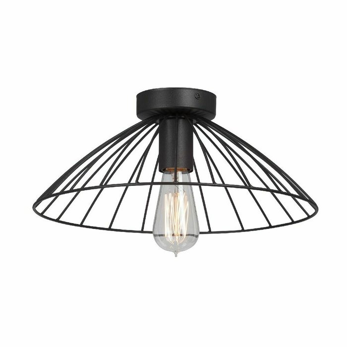 Потолочный светильник V3036-1/1PL (металл, цвет черный)