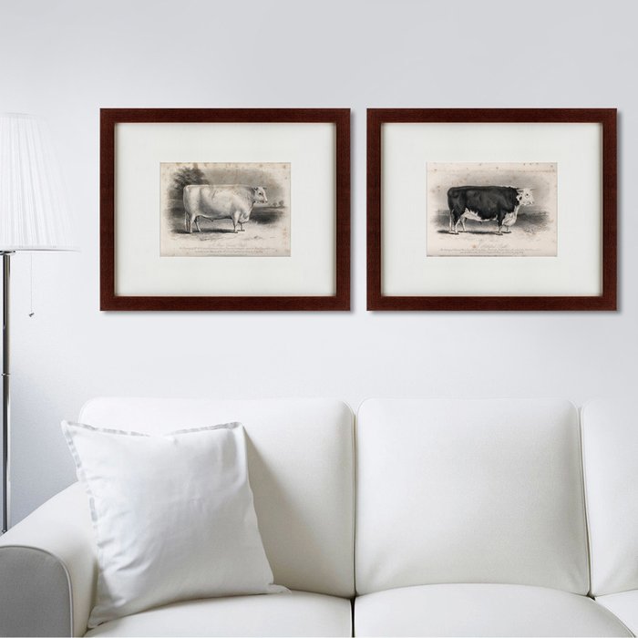 Картина A short horned bull 1849 г. - лучшие Картины в INMYROOM