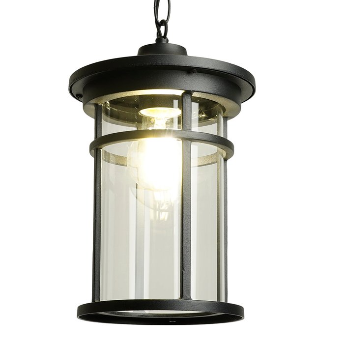 Уличный подвесной светильник Feron Турин PL765 51819 - лучшие Подвесные уличные светильники в INMYROOM Уличный подвесной светильник Feron Турин PL765 51819 - лучшие Подвесные уличные светильники в INMYROOM