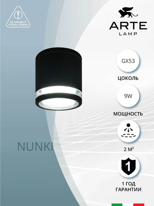 Фасадный светильник Arte Lamp NUNKI A1910PF-1BK - лучшие Настенные уличные светильники в INMYROOM