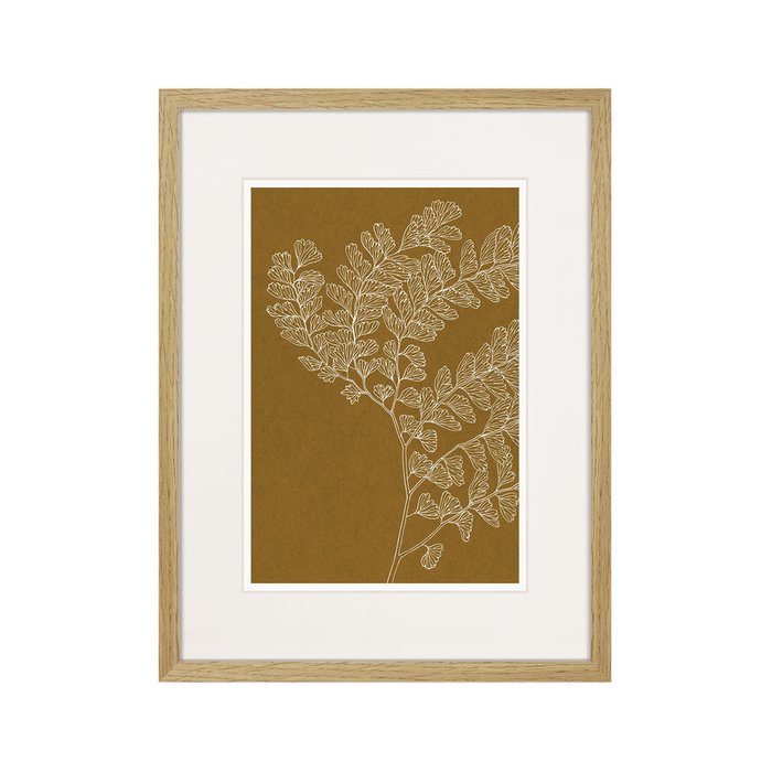 Репродукция картины The fern collection №16 - купить Картины по цене 2995.0