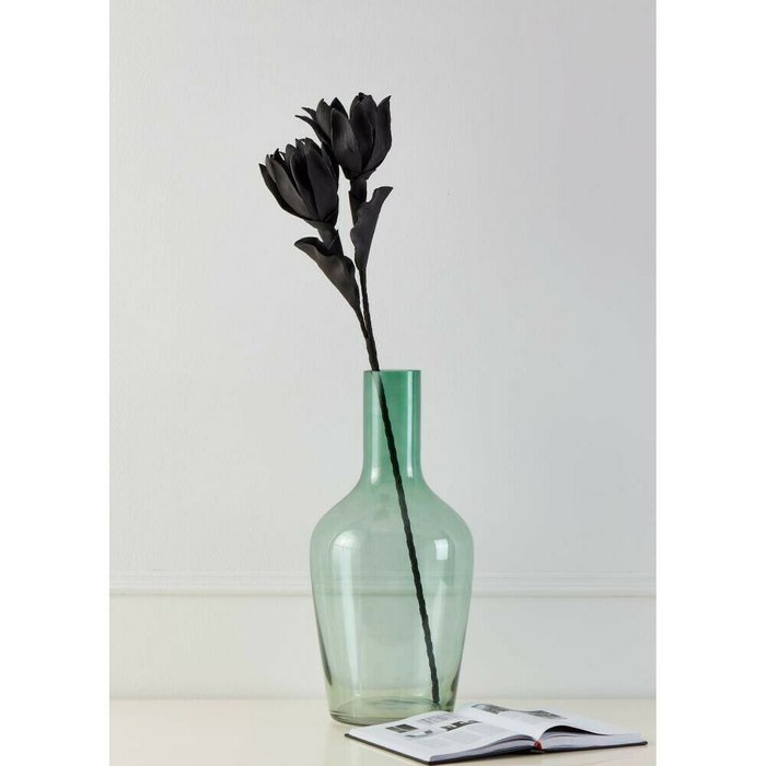 Искусственное растение Molave черного цвета - лучшие Декоративные цветы в INMYROOM
