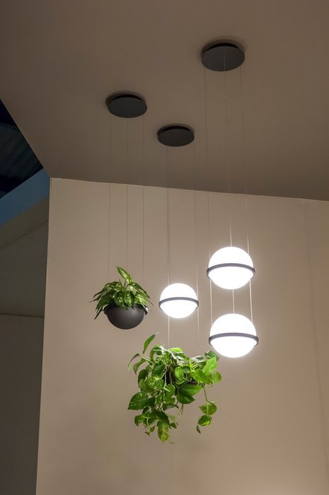 Подвесной светильник PALMA Wall lamp шар + вазон - лучшие Подвесные светильники в INMYROOM