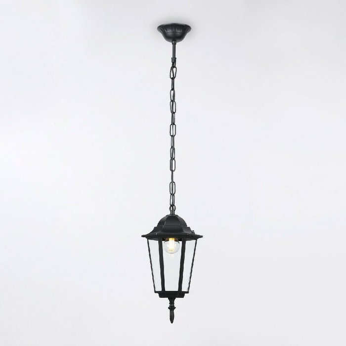 Уличный потолочный светильник Garden черного цвета - купить Подвесные уличные светильники по цене 2246.0