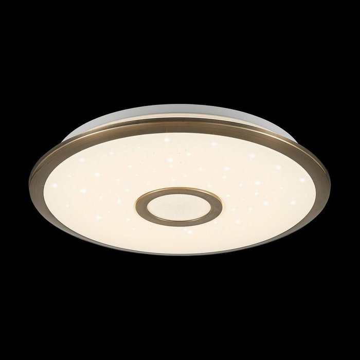 Потолочный светодиодный светильник СтарЛайт из пластика и металла  - купить Потолочные светильники по цене 3290.0