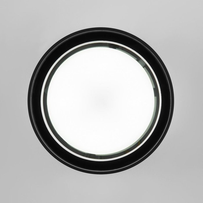 Уличный потолочный светильник Light черного цвета - купить Потолочные уличные светильники по цене 2920.0