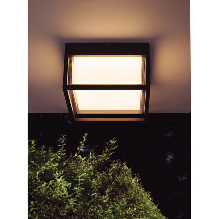 Уличный настенно-потолочный светильник Chamonix черного цвета - купить Настенные уличные светильники по цене 21372.0