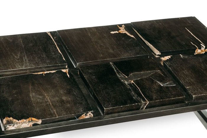 Журнальный стол Таланго из окаменелого дерева 29 - купить Журнальные столики по цене 128000.0