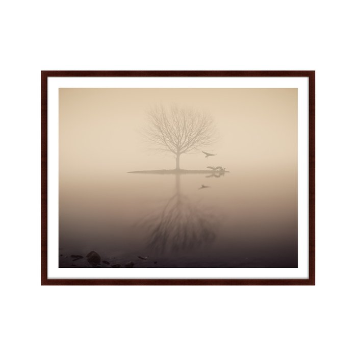 Картина Morning mist on the lake - купить Картины по цене 16999.0