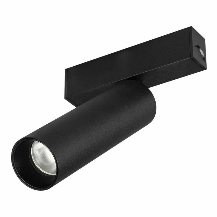 Трековый магнитный светильник Arlight MAG-SPOT-25-R120-12W Warm3000 (BK, 30 deg, 24V, DALI) 046321 Трековый магнитный светильник Arlight MAG-SPOT-25-R120-12W Warm3000 (BK, 30 deg, 24V, DALI) 046321