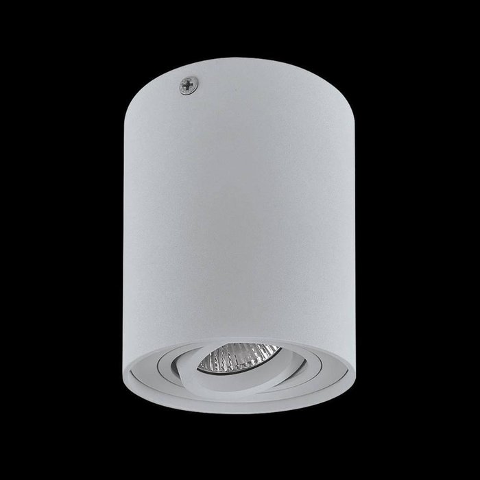 Потолочный светильник Binoco серого цвета - лучшие Потолочные светильники в INMYROOM