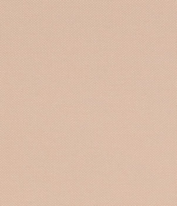 мини ролета Лестер 90х175 пудра - лучшие Шторы в INMYROOM