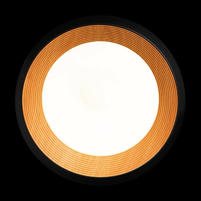 Светильник потолочный Loft It Folk 10255/500 Black - лучшие Потолочные светильники в INMYROOM Светильник потолочный Loft It Folk 10255/500 Black - лучшие Потолочные светильники в INMYROOM