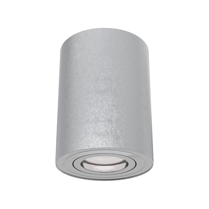 Потолочный светильник Alfa серебряного цвета