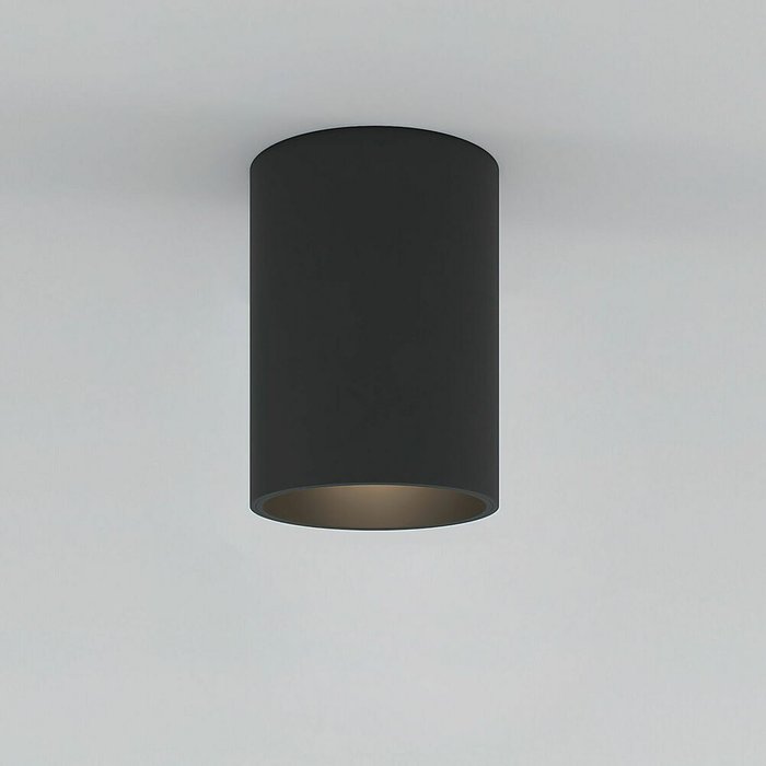 Накладной потолочный светильник 25011/01 Porter