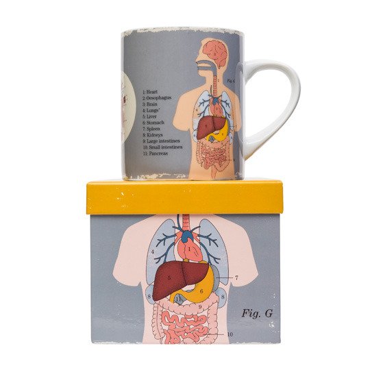 Кружка 'Anatomical'  Organs - купить Чашки по цене 1890 Кружка 'Anatomical'  Organs - купить Чашки по цене 1890