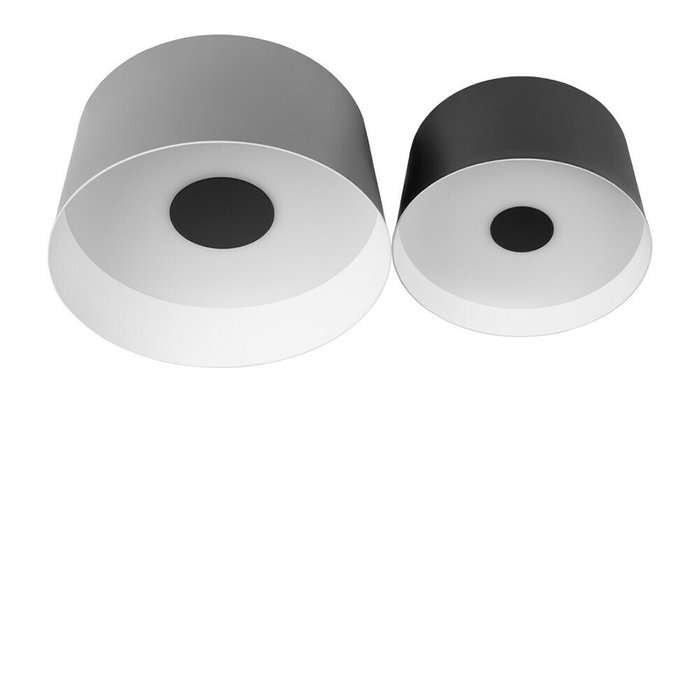 Светильник потолочный Loft It Duo 10360/2 Светильник потолочный Loft It Duo 10360/2
