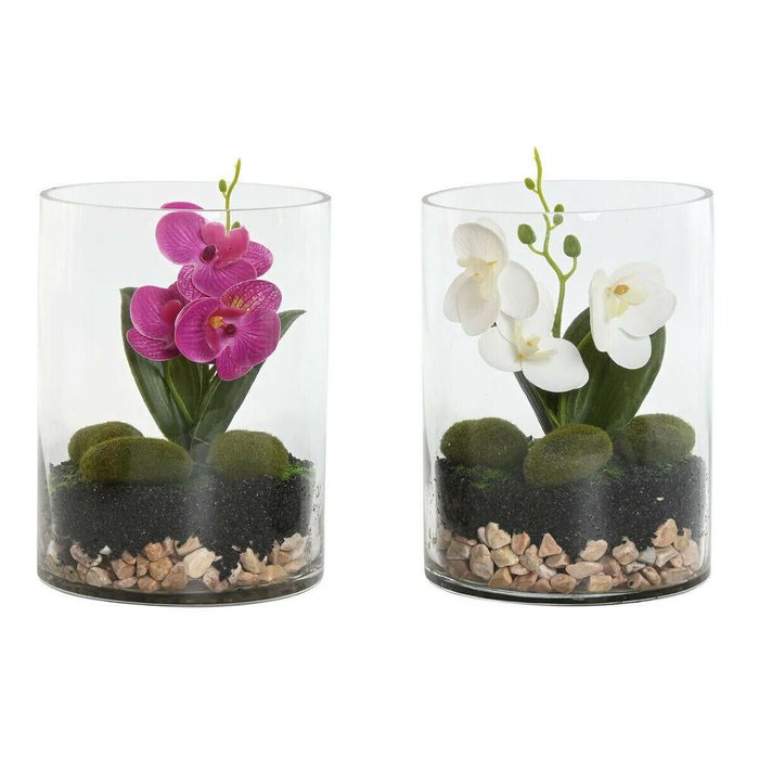 Декоративное растение PVC Стеклянный 15 x 15 x 20 cm (2 штук)