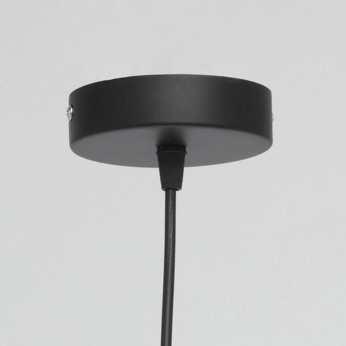 Подвесной светильник Джестер из металла черного цвета - лучшие Подвесные светильники в INMYROOM