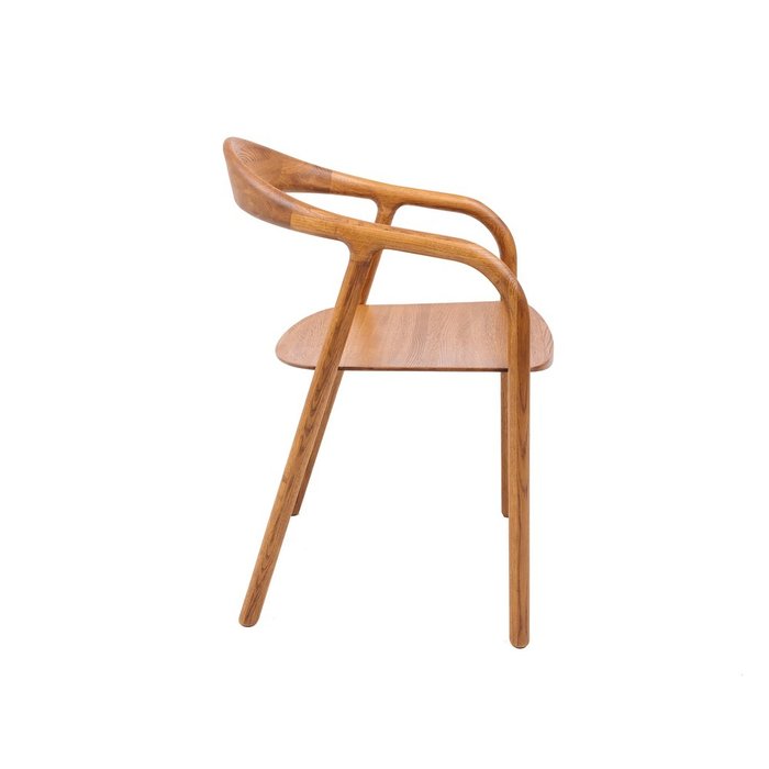 Стул Био коричневого цвета - лучшие Обеденные стулья в INMYROOM