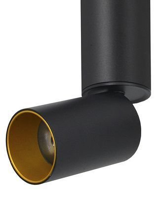Потолочный светильник Торин черного цвета - купить Накладные споты по цене 2430.0