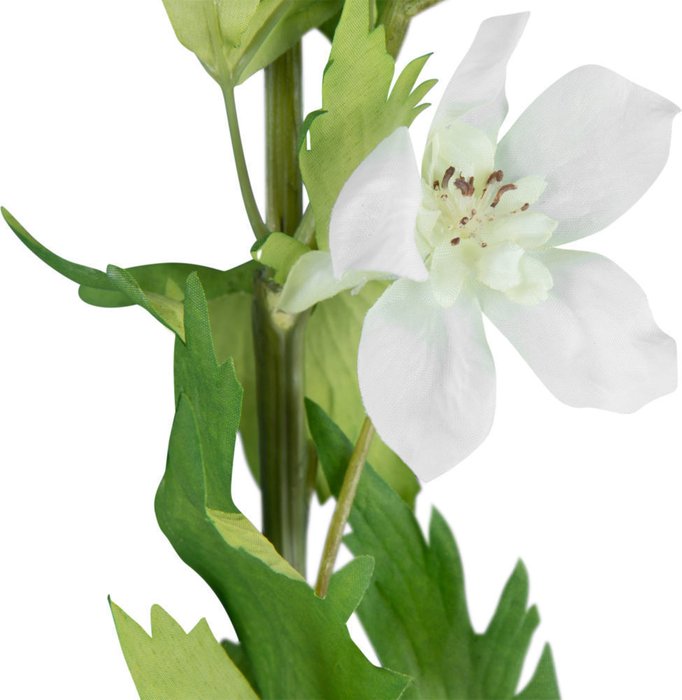 Декор Delphinium - лучшие Декоративные цветы в INMYROOM
