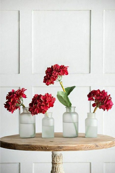 Растение декоративное Гортензия темно-красного цвета - лучшие Декоративные цветы в INMYROOM