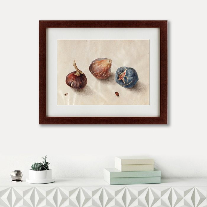 Картина Branch of Pomegranate with Lanternfly and Cicada 1681 г. - лучшие Картины в INMYROOM