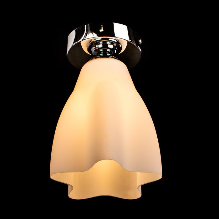 Потолочный светильник  Arte Lamp - купить Потолочные светильники по цене 1670.0
