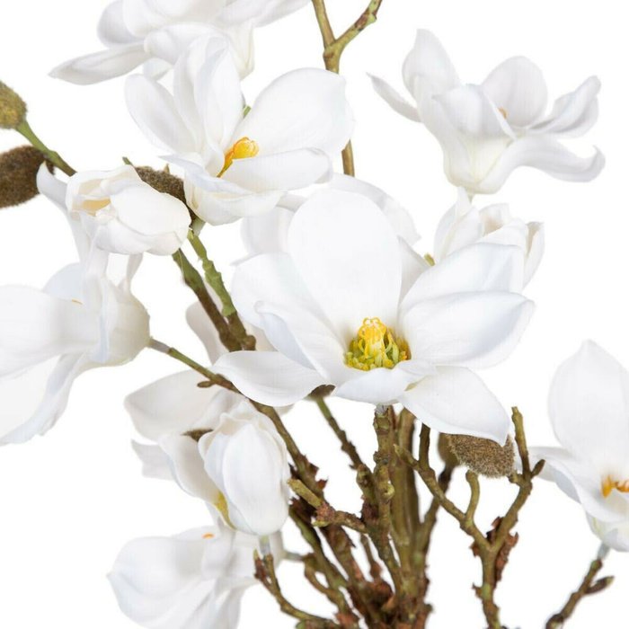 Декоративное растение полиэстер полиэтилен Железо 30 x 30 x 60 cm Magnolia - лучшие Декоративные цветы в INMYROOM