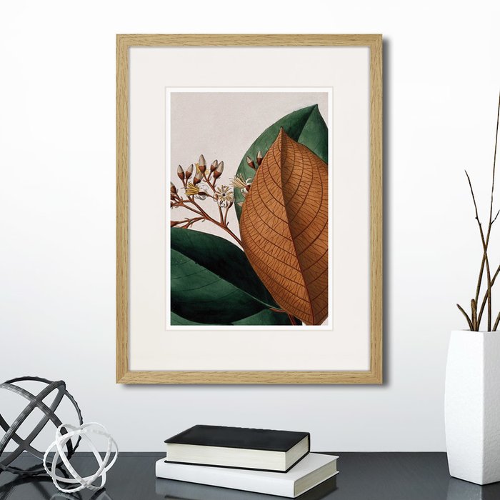 Набор из двух картин Exotic plants of the world  - лучшие Картины в INMYROOM