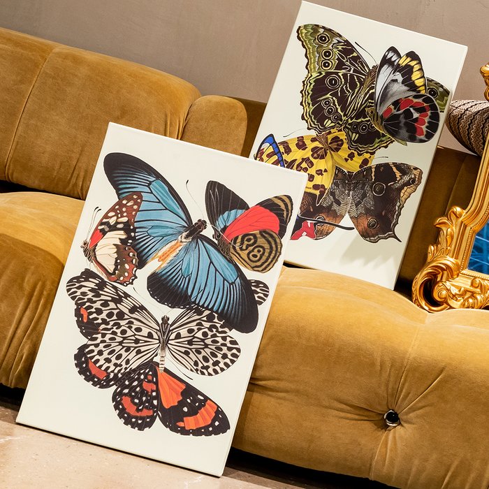 Картина Бабочки мира, версия 5 - купить Картины по цене 4500.0