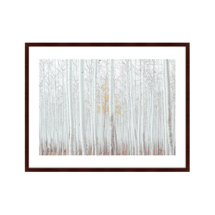 Картина The white wood forest - купить Картины по цене 16999.0