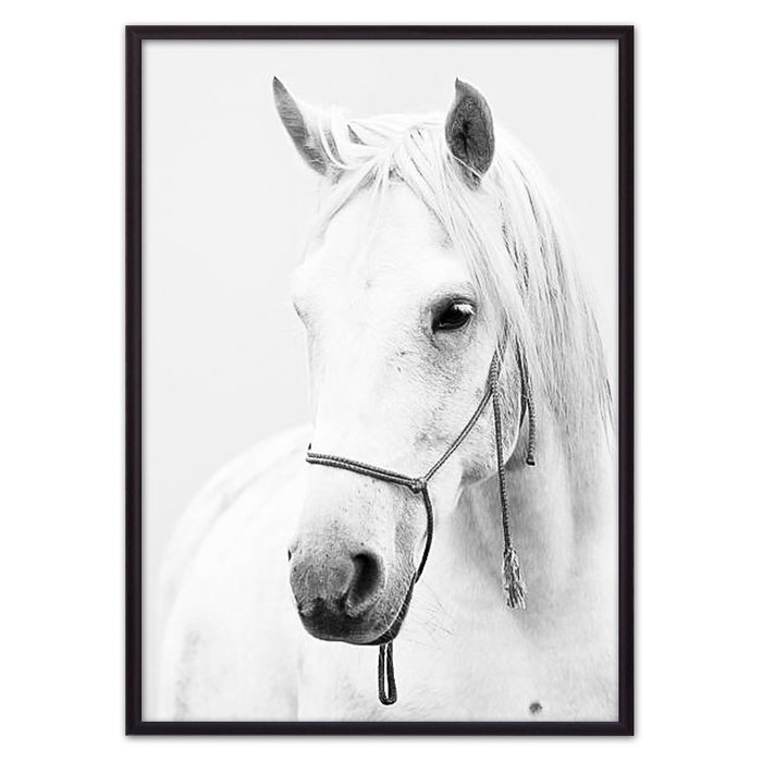 Постер в рамке Белая лошадь 2 21х30 см