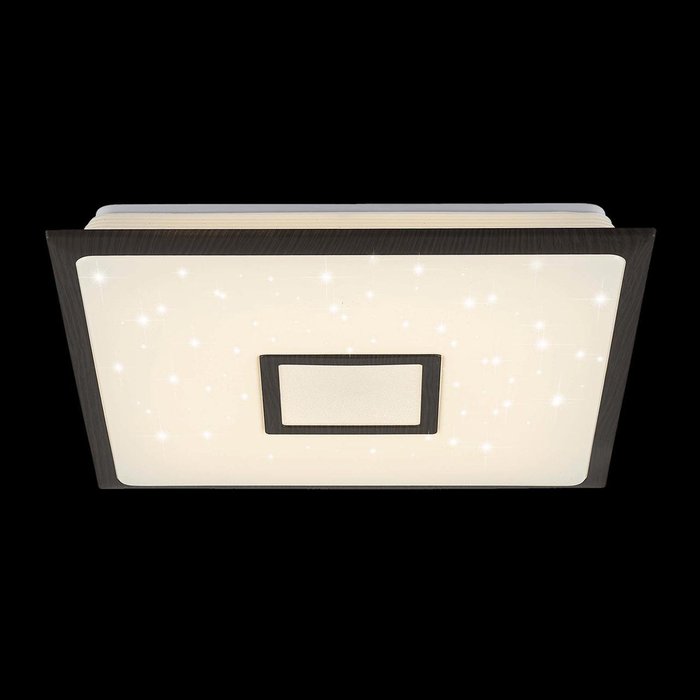 Потолочный светодиодный светильник СтарЛайт из пластика и металла  - купить Потолочные светильники по цене 4990.0