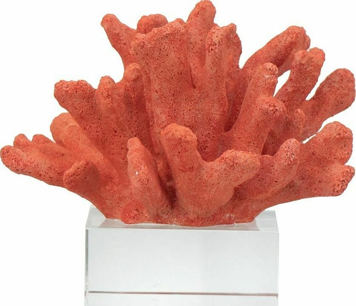 Декор Коралл красного цвета - лучшие Фигуры и статуэтки в INMYROOM