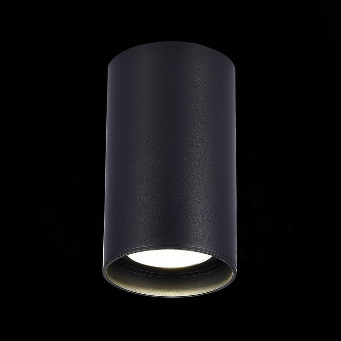 Светильник потолочный черного цвета - лучшие Потолочные светильники в INMYROOM